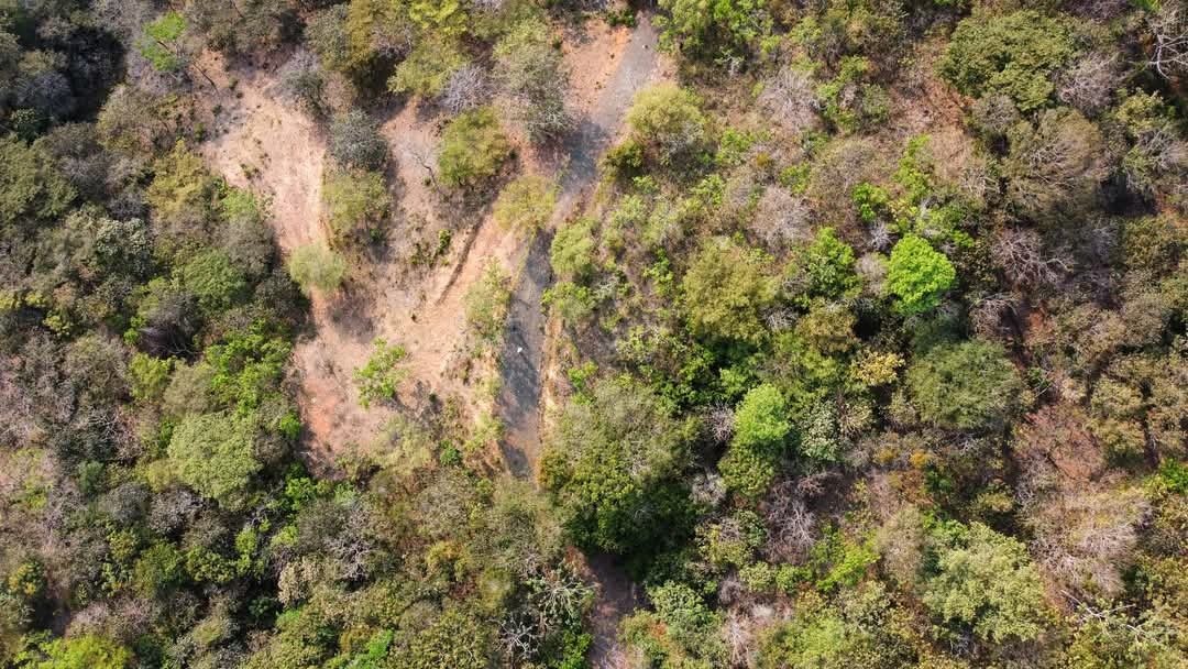 Land in San Luis, San José Province, Costa Rica 5 - 18240995