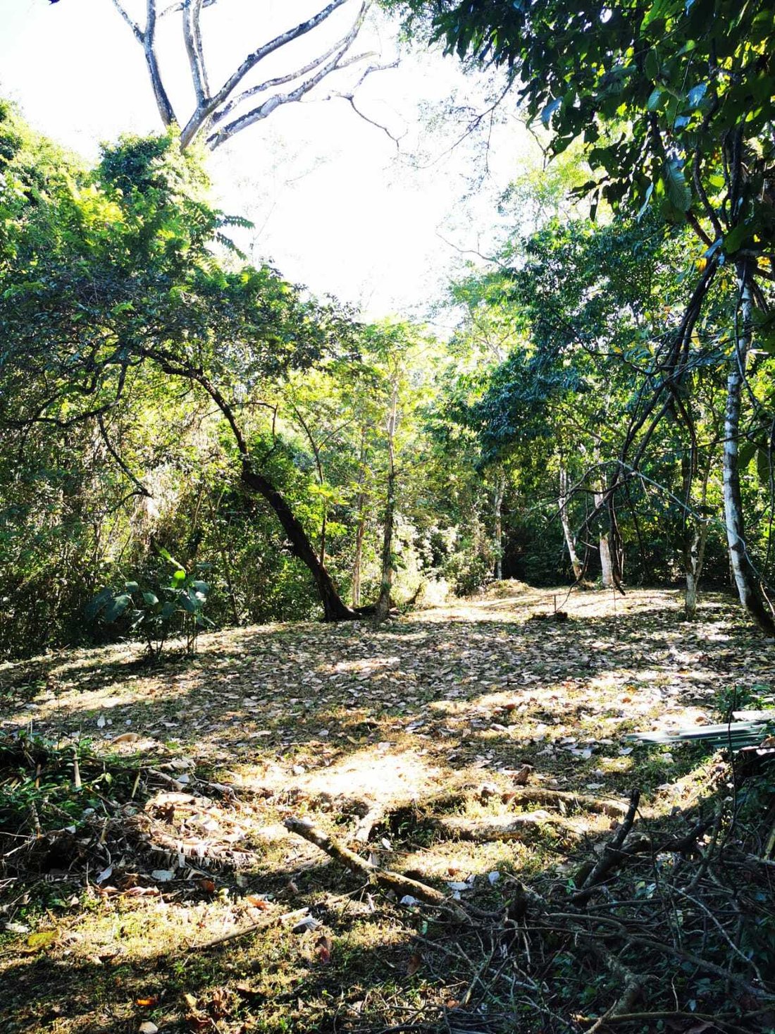 House in Carmen Beach, Puntarenas Province, Costa Rica 3 - 18235837