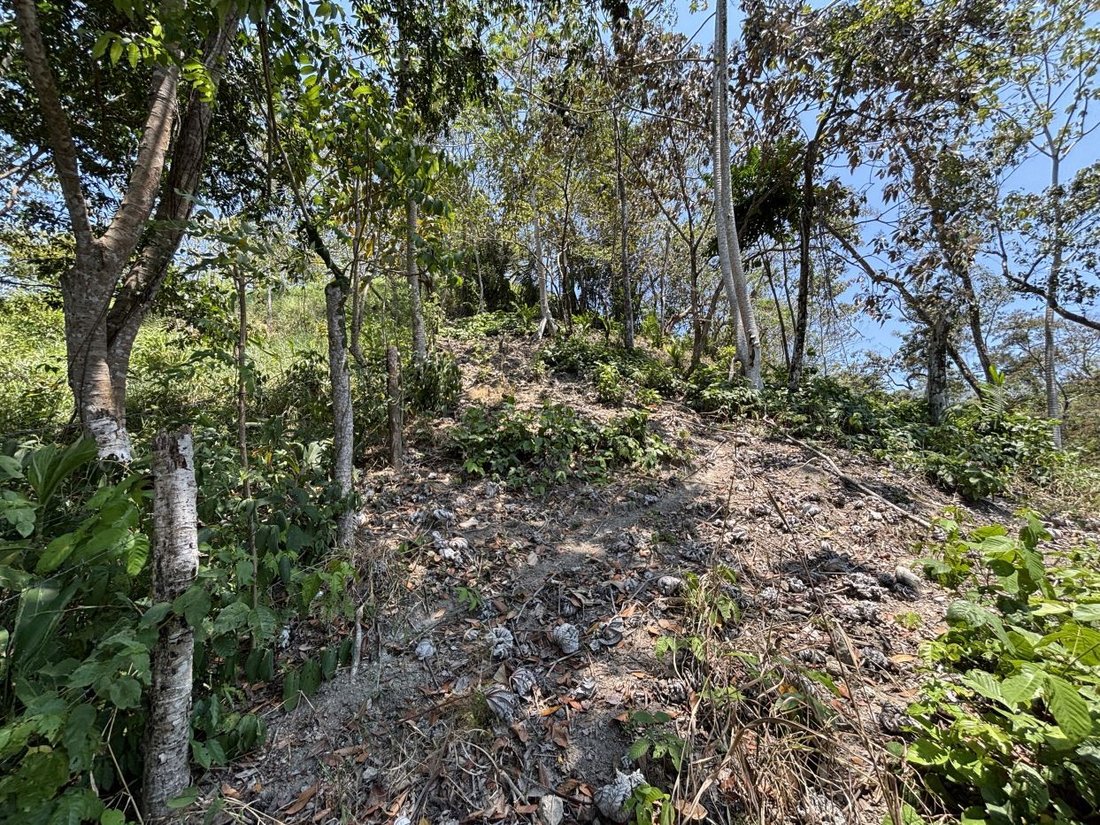 Land in Quepos, Puntarenas Province, Costa Rica 4 - 18237741