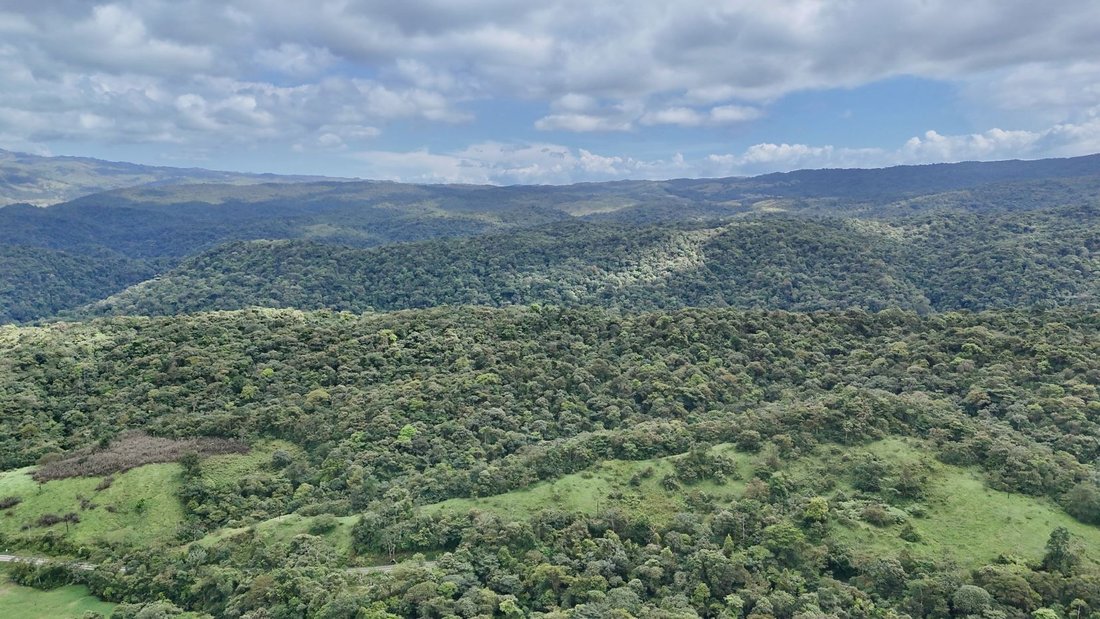 Land in San Ramón, San Ramón, Costa Rica 4 - 18241157