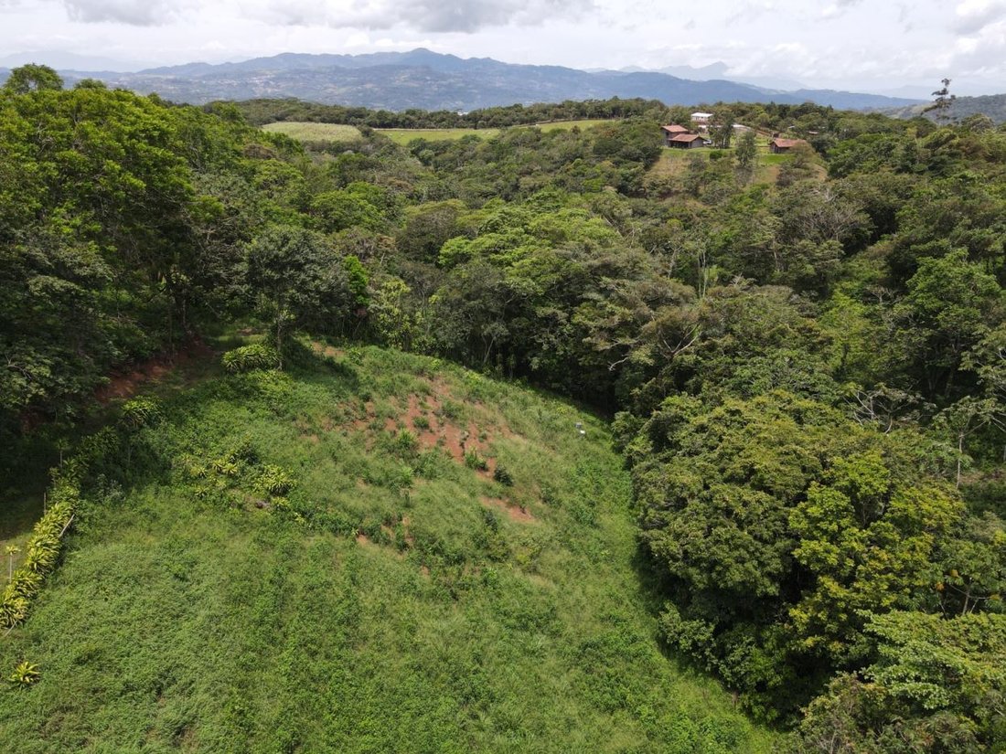 Land in San Ramon, Guanacaste Province, Costa Rica 4 - 18240007