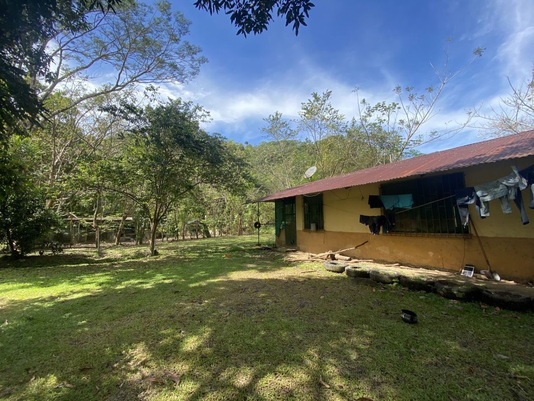 Land in Ciudad Cortés, Puntarenas Province, Costa Rica 4 - 18241732