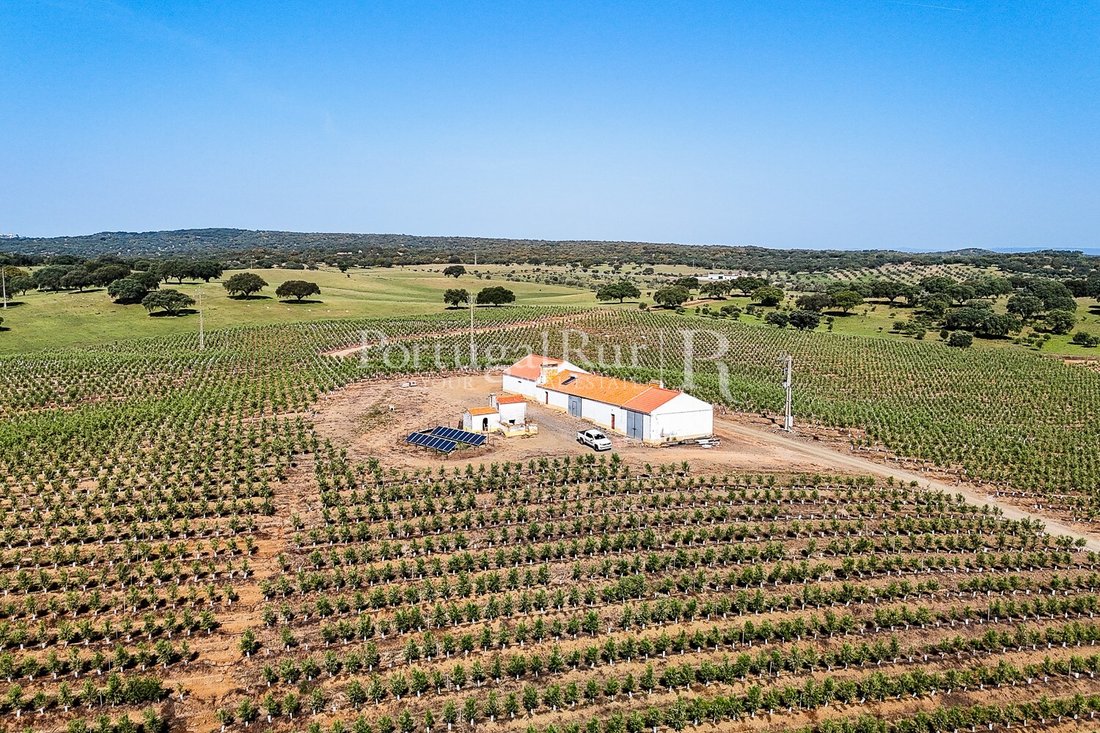 Estate in Sao Mancos e Sao Vicente do Pigeiro, Évora District, Portugal 4 - 18239129