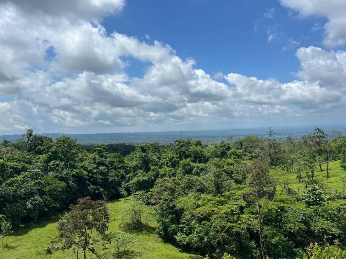Land in Zeta trece, Alajuela Province, Costa Rica 4 - 18236979