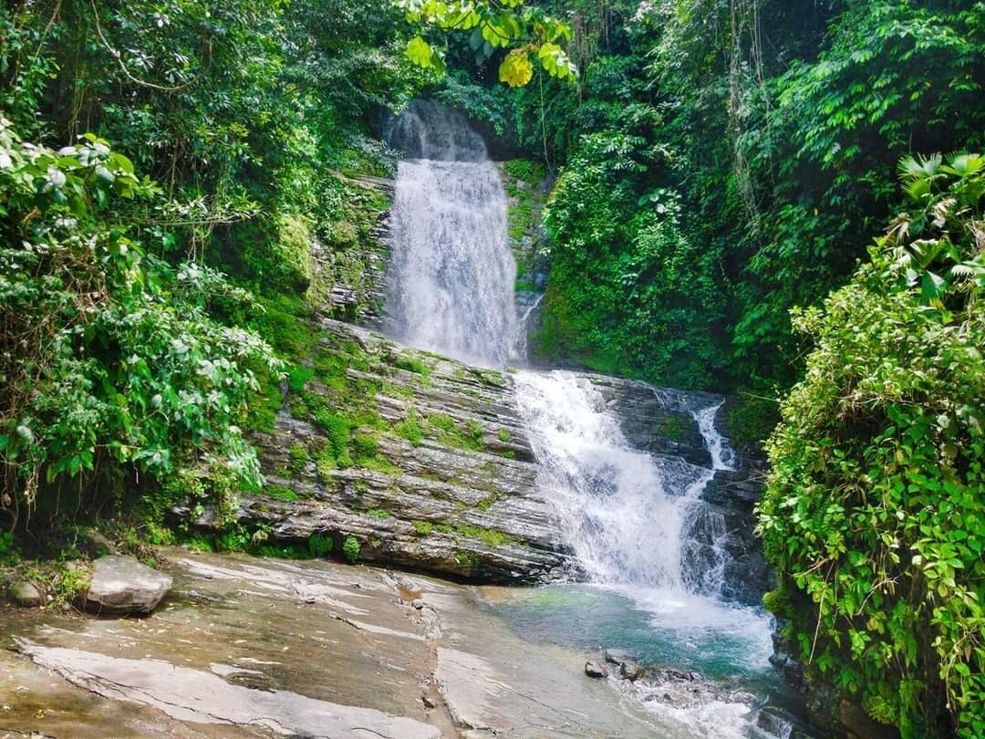 Land in Savegre de Aguirre, Puntarenas Province, Costa Rica 3 - 18237944