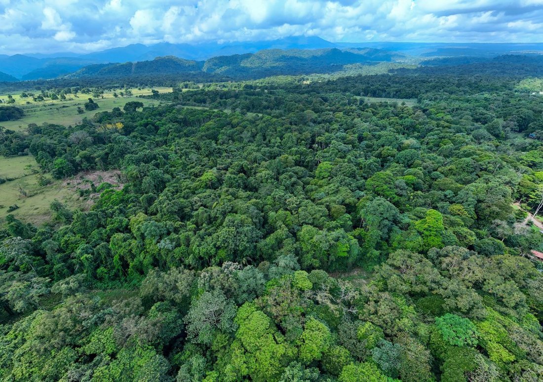 Land in Sarapiquí, Sarapiqui, Costa Rica 4 - 18240144