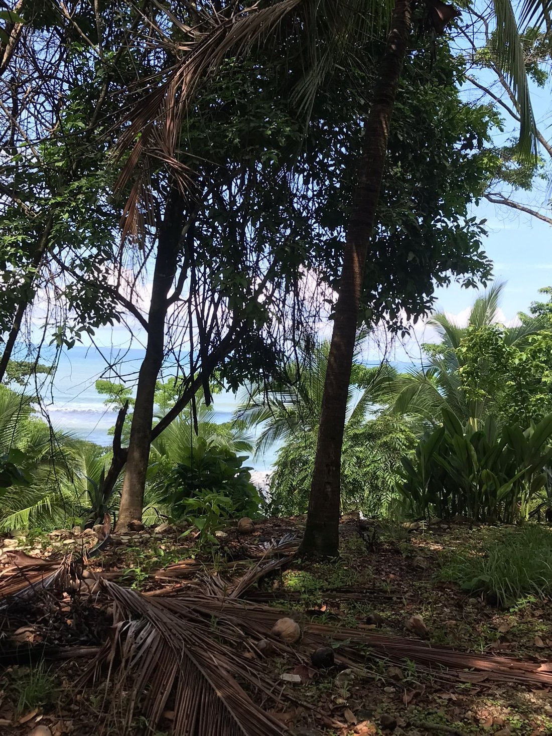 House in Carmen Beach, Puntarenas Province, Costa Rica 4 - 18235845