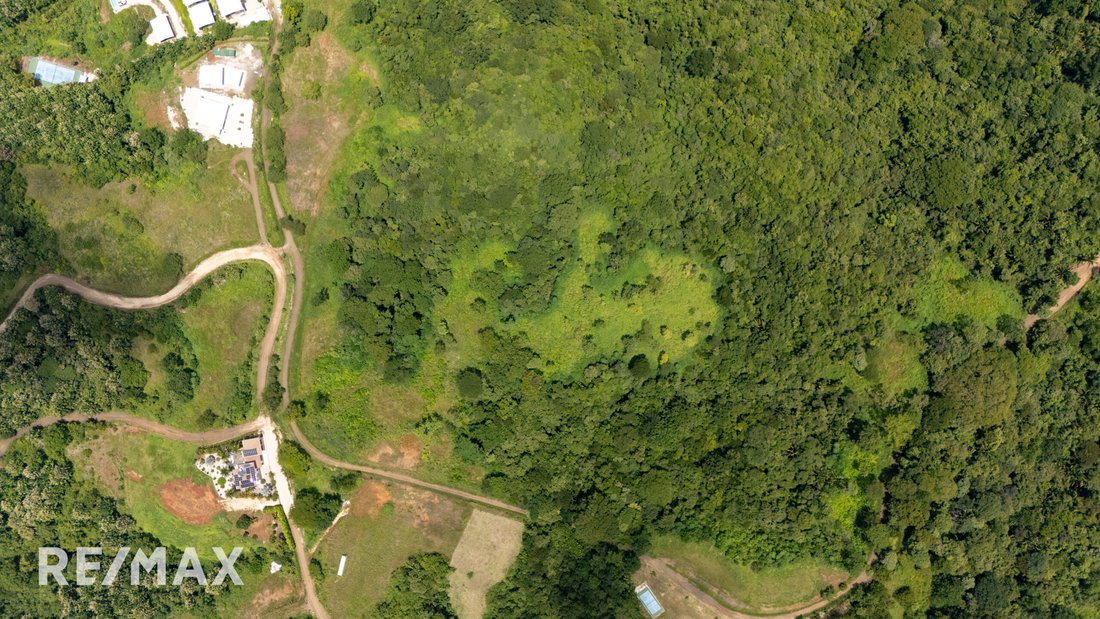 Land in Guanacaste, Santa Cruz, Costa Rica 3 - 18238385