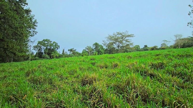 Land in Pérez Zeledón, Pérez Zeledón, Costa Rica 4 - 18241148