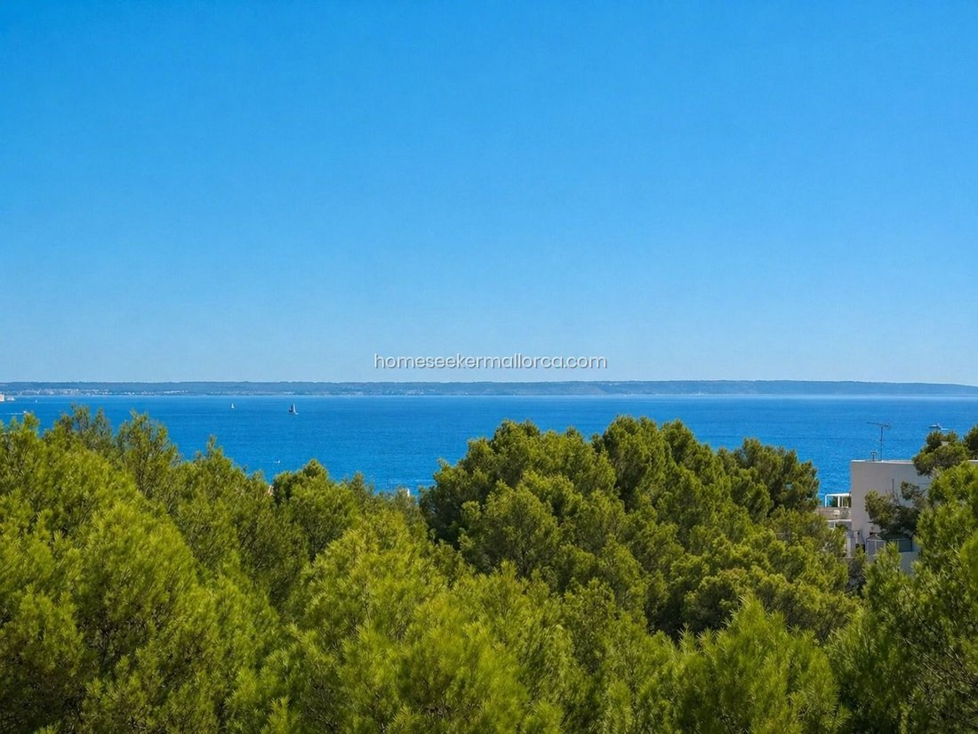 Apartment in Cas Catala, Calvia, Balearic Islands 5 - 18243132