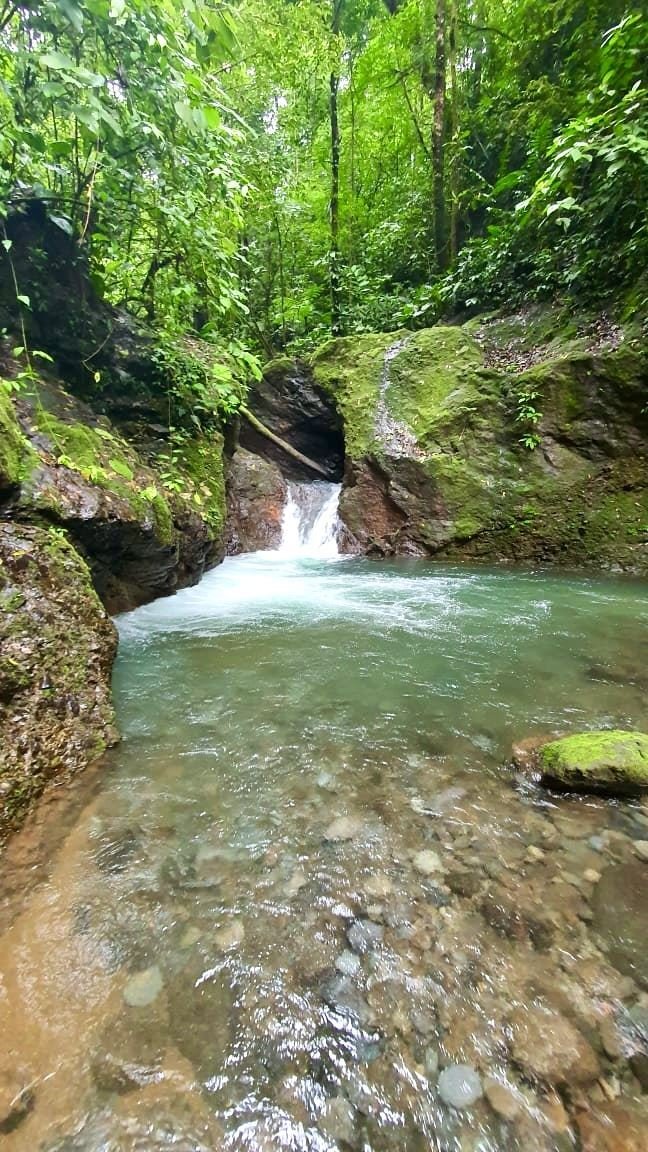 Land in San Carlos, San Ramón, Costa Rica 1 - 18238567