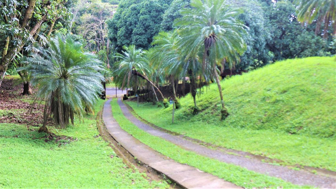 House in San Mateo, Guanacaste Province, Costa Rica 3 - 18238279