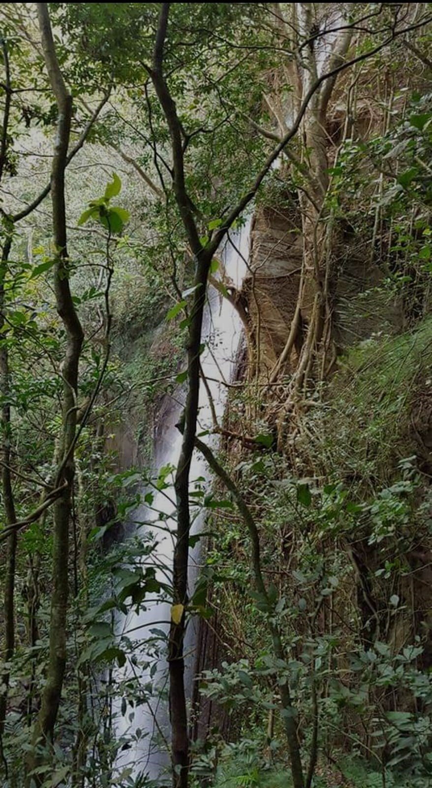 Land in Bagaces, Guanacaste Province, Costa Rica 4 - 18236025
