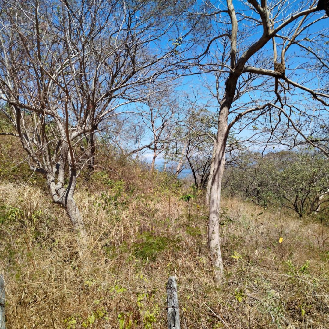 Land in Punta Arenas, Puntarenas Province, Costa Rica 5 - 18246389