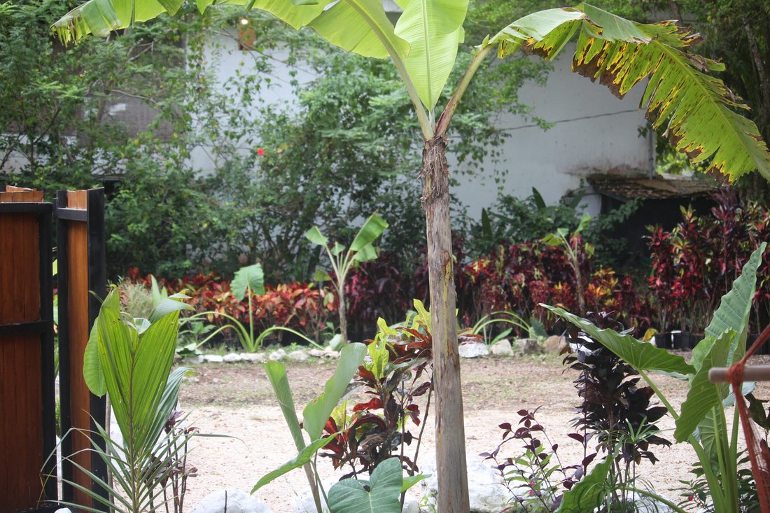 House in Carmen Beach, Puntarenas Province, Costa Rica 3 - 18235850
