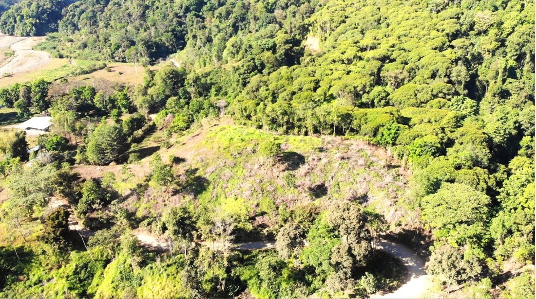 Land in Naranjito, Puntarenas Province, Costa Rica 3 - 18237732