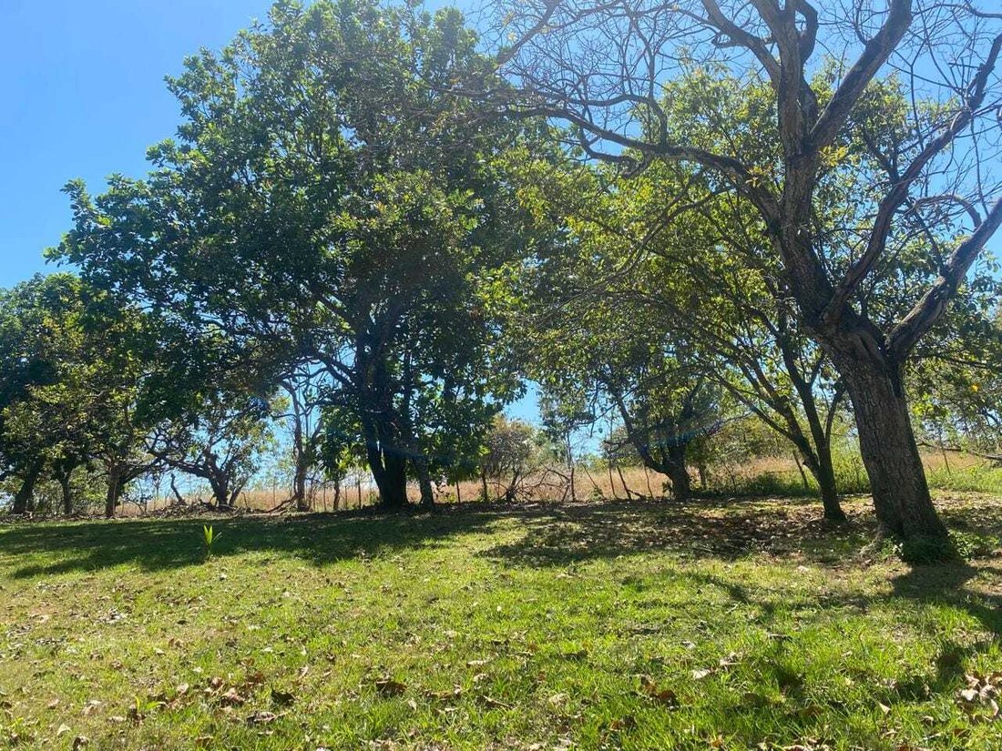 Land in Orotina, Guanacaste Province, Costa Rica 4 - 18240903