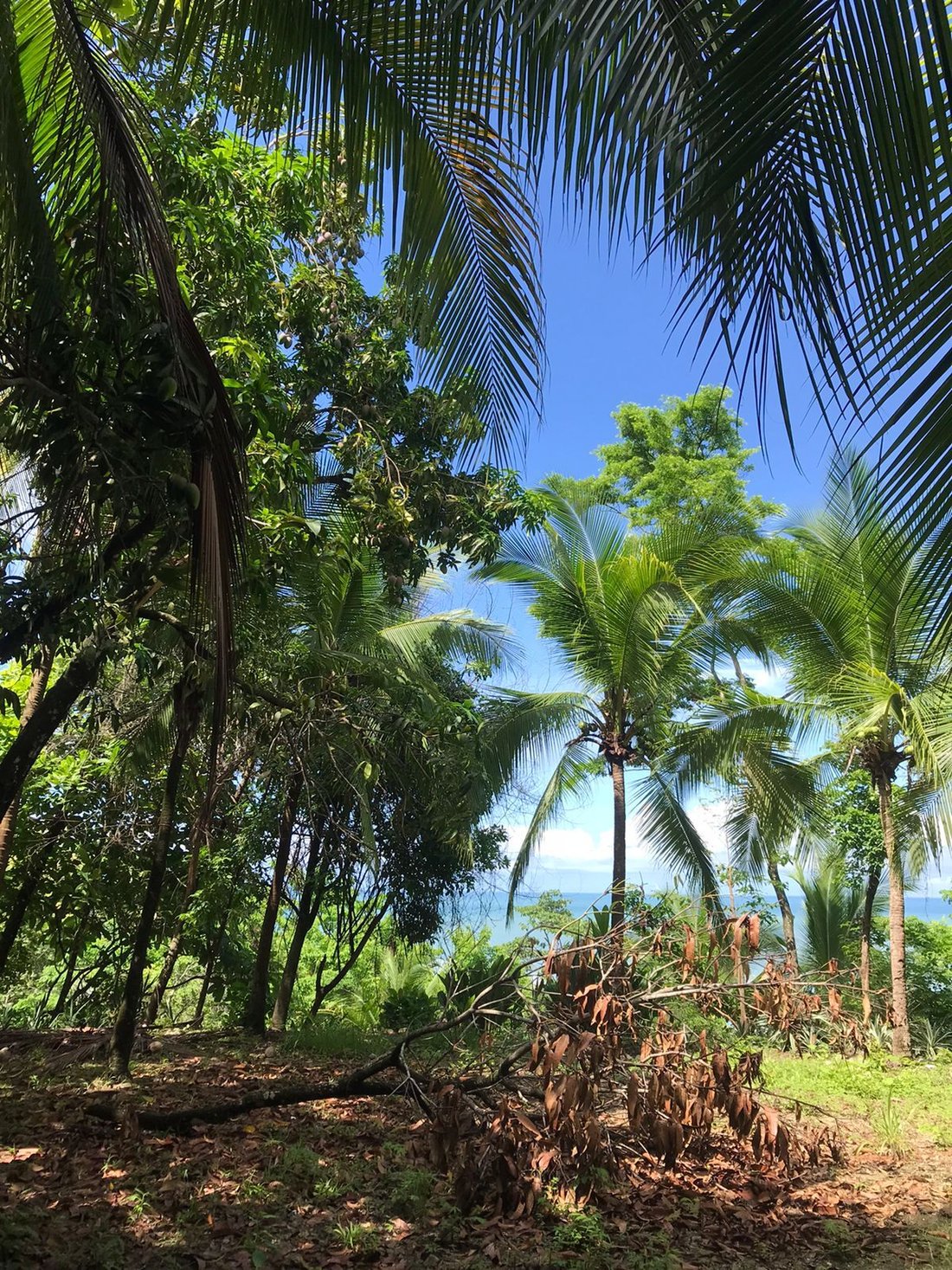 House in Carmen Beach, Puntarenas Province, Costa Rica 2 - 18235845