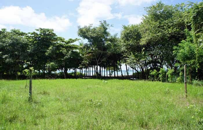House in Carmen Beach, Puntarenas Province, Costa Rica 4 - 18235784