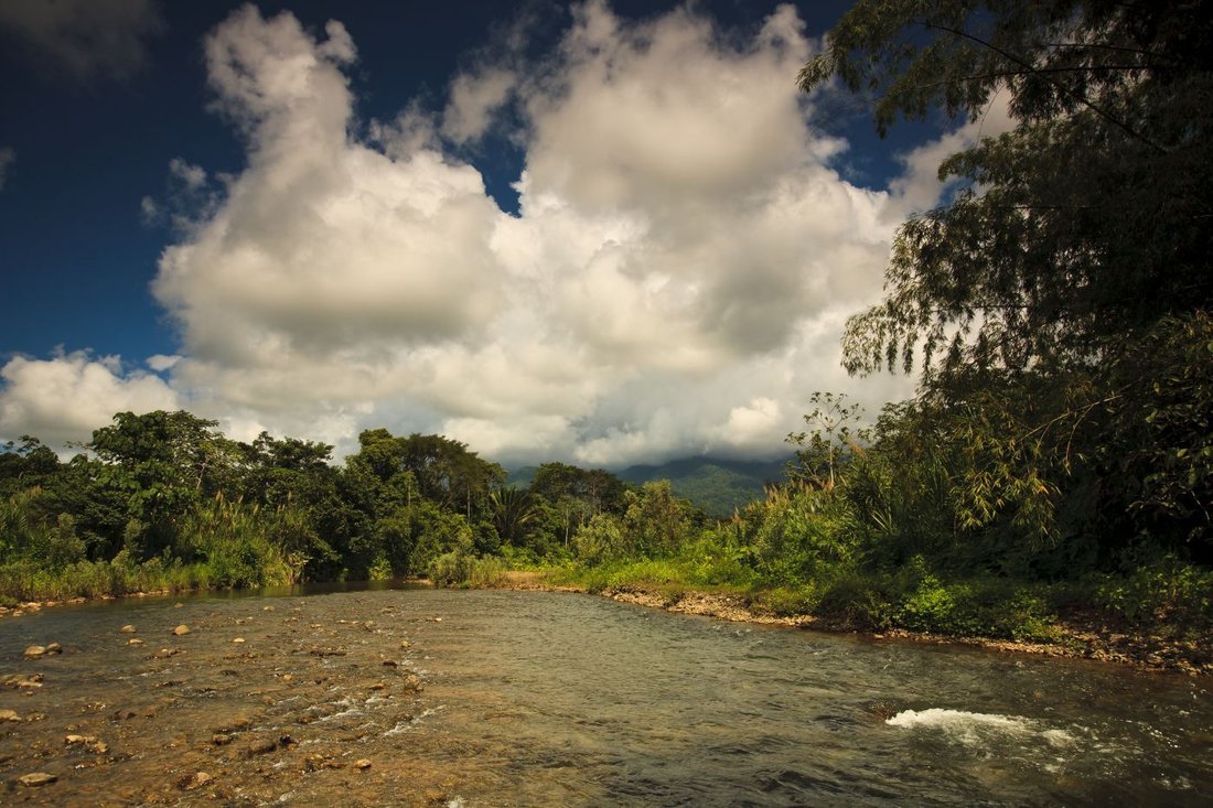 Land in Quepos, Puntarenas Province, Costa Rica 1 - 18237745