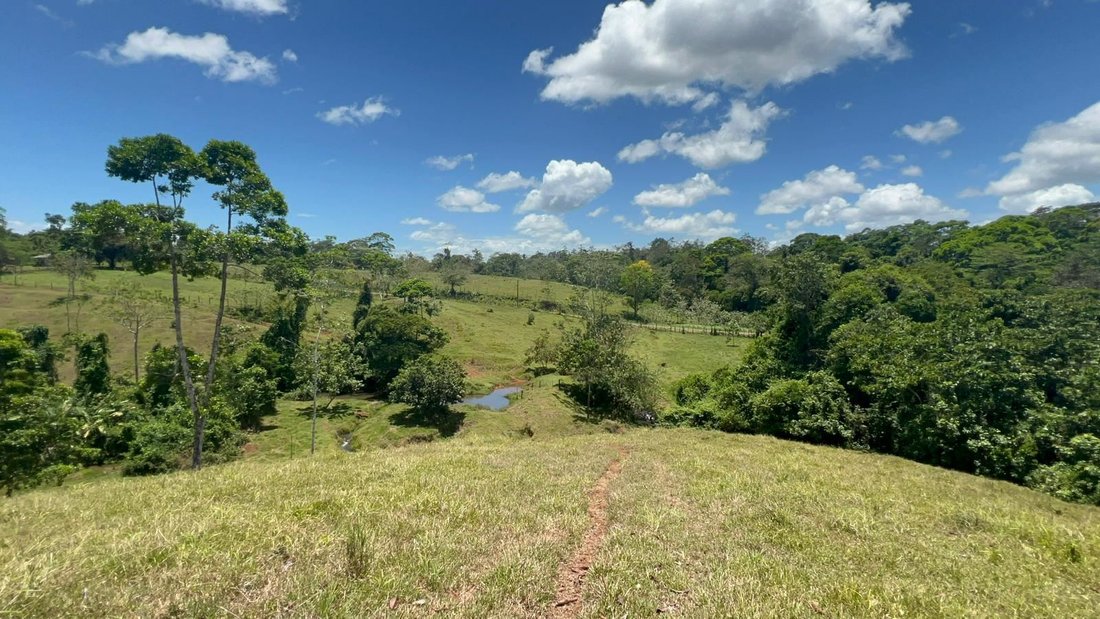 Terreno a Hacienda Buenos Aires, Provincia di Alajuela, Costa Rica 5 - 18240554