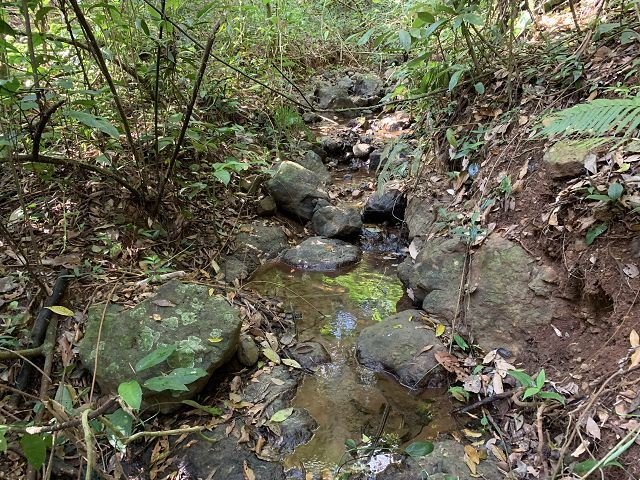 Land in Porvenir, Guanacaste Province, Costa Rica 4 - 18237293