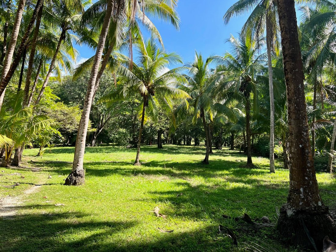 House in Carmen Beach, Puntarenas Province, Costa Rica 4 - 18235798