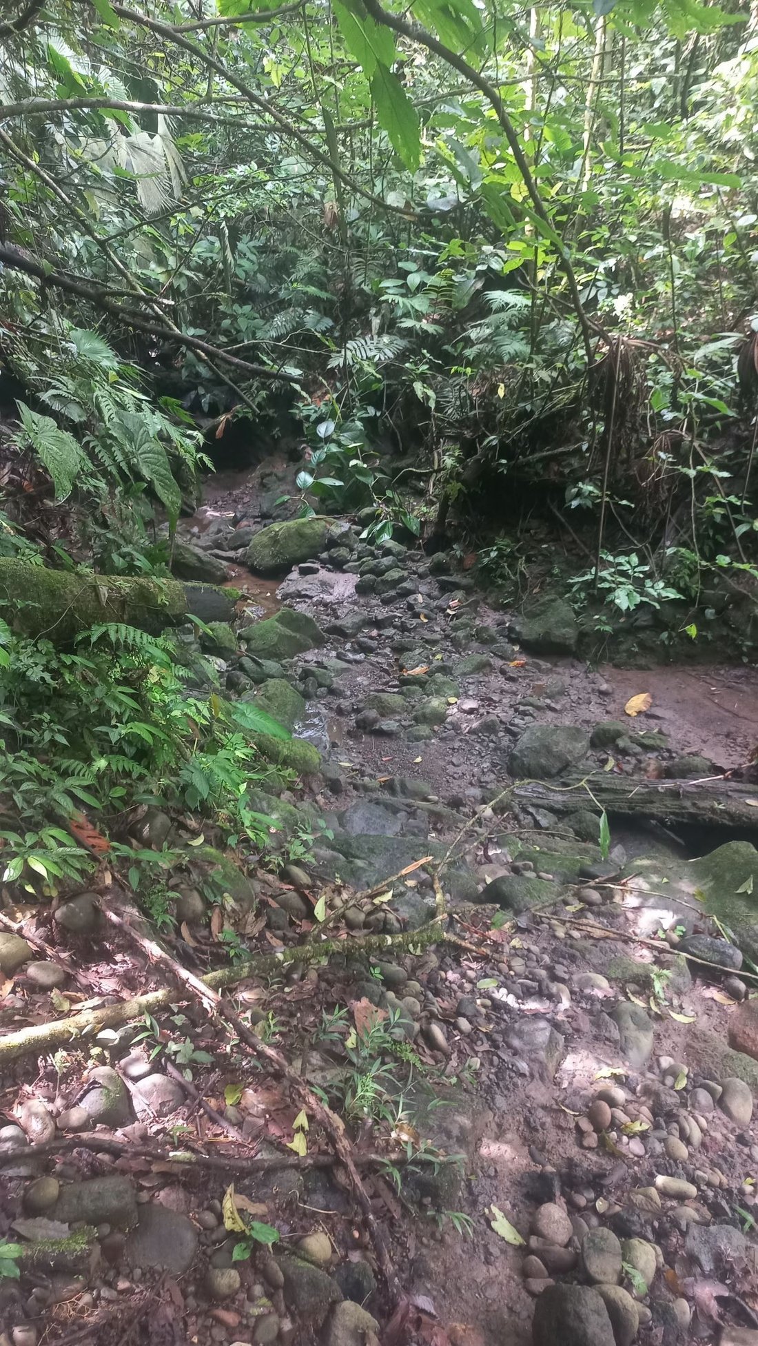 Land in Zeta trece, Alajuela Province, Costa Rica 5 - 18236979