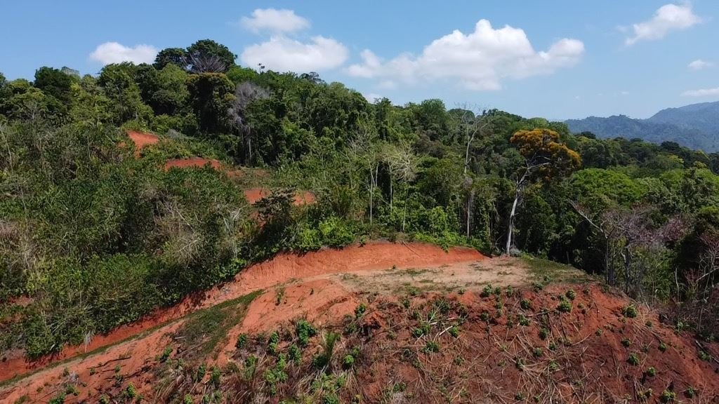 Land in Savegre de Aguirre, Puntarenas Province, Costa Rica 5 - 18241123
