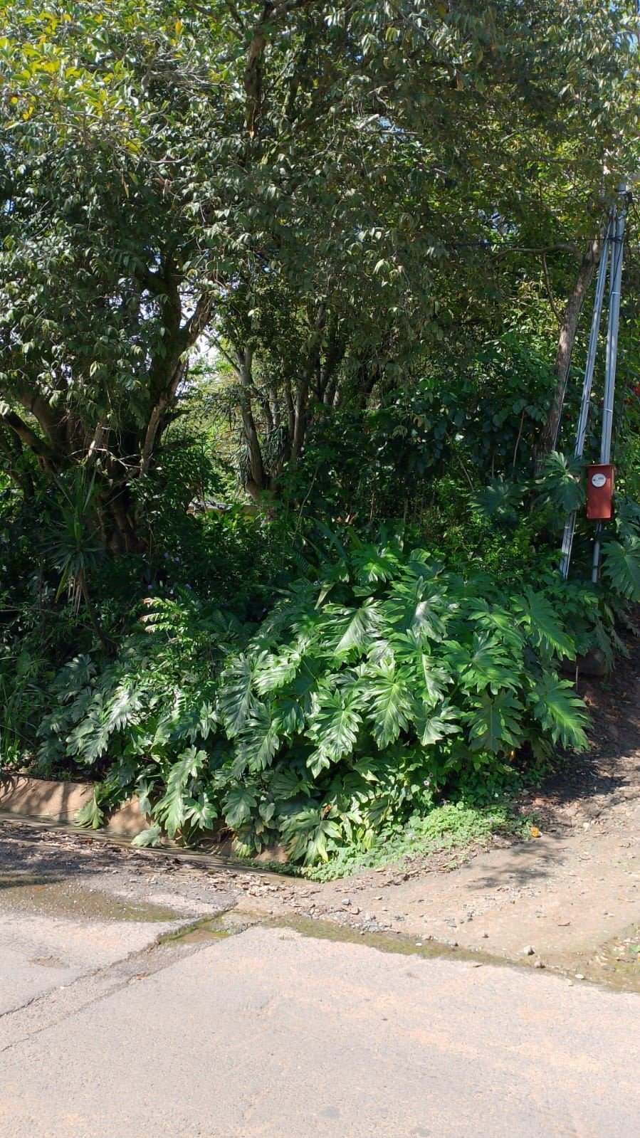 Land in Escobal, Guanacaste Province, Costa Rica 2 - 18239821