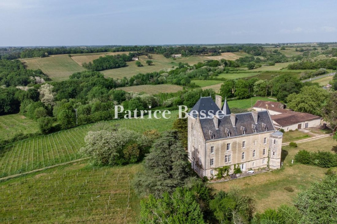 Castillo en Villenave-de-Rions, Nueva Aquitania, Francia 4 - 18242147