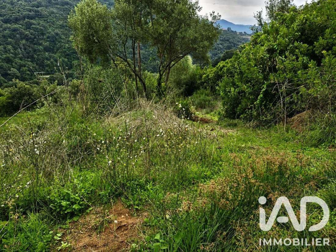 Land in Ocana, Corsica, France 3 - 18247061