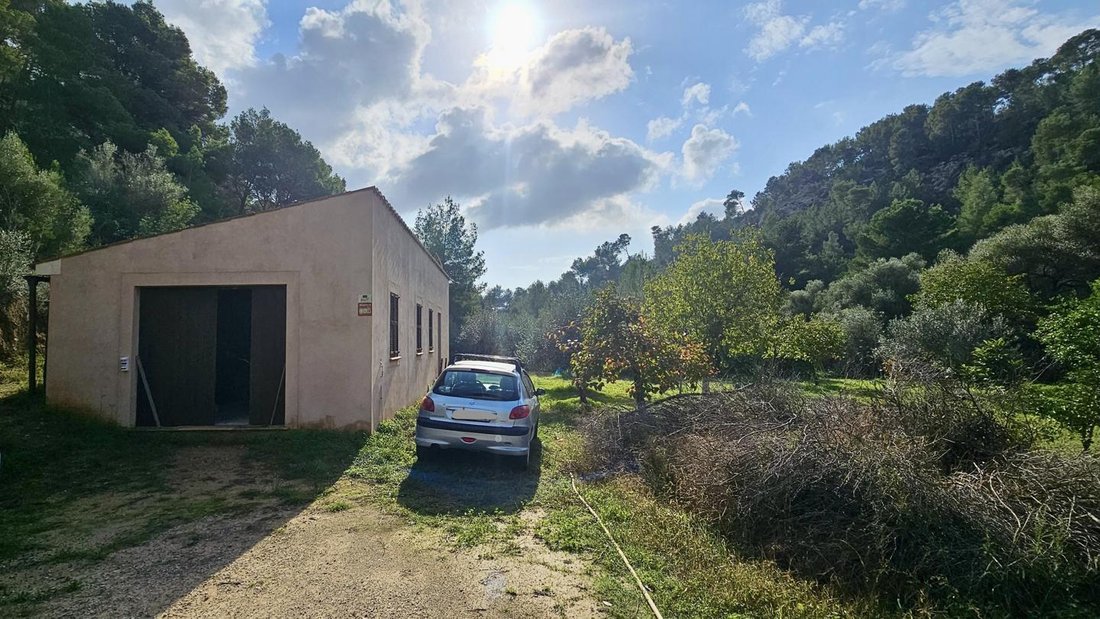 Land in s'Arraco, Andratx, Balearic Islands 3 - 18241818