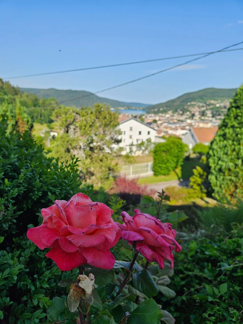 Villa in Ecarts et Coteaux, Gerardmer, France 2 - 18245999