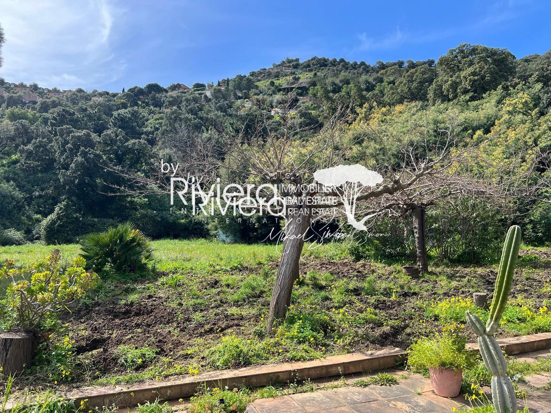 Villa in Nord, Cavalaire-sur-Mer, France 5 - 15404715