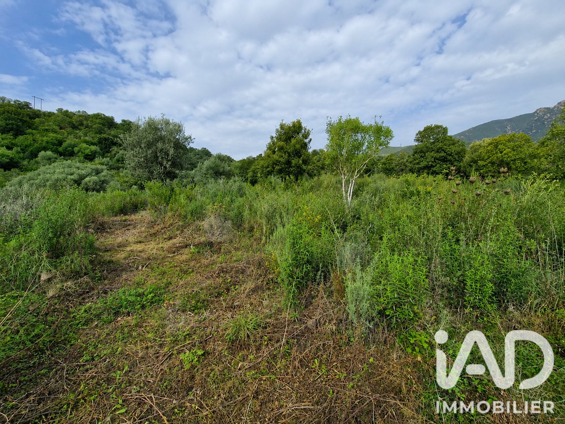 Land in Ocana, Corsica, France 4 - 18247061