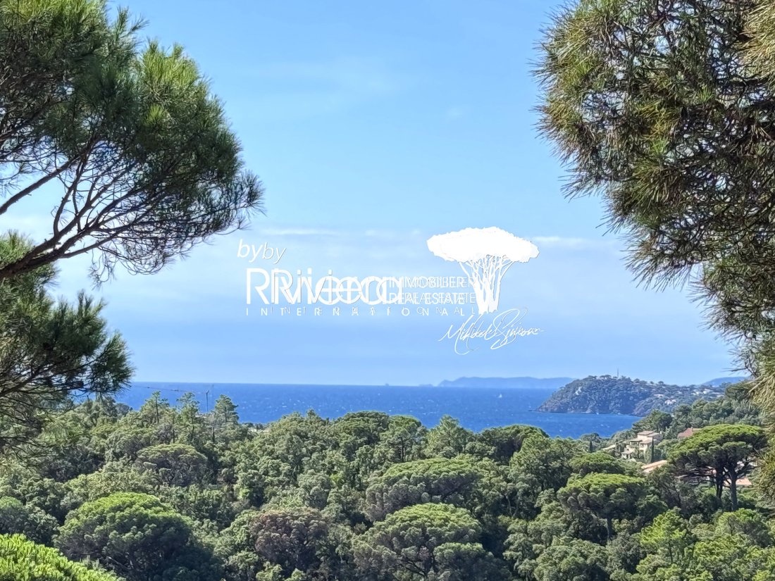 Estate in La Croix-Valmer, Provence-Alpes-Côte d'Azur, France 4 - 16265270
