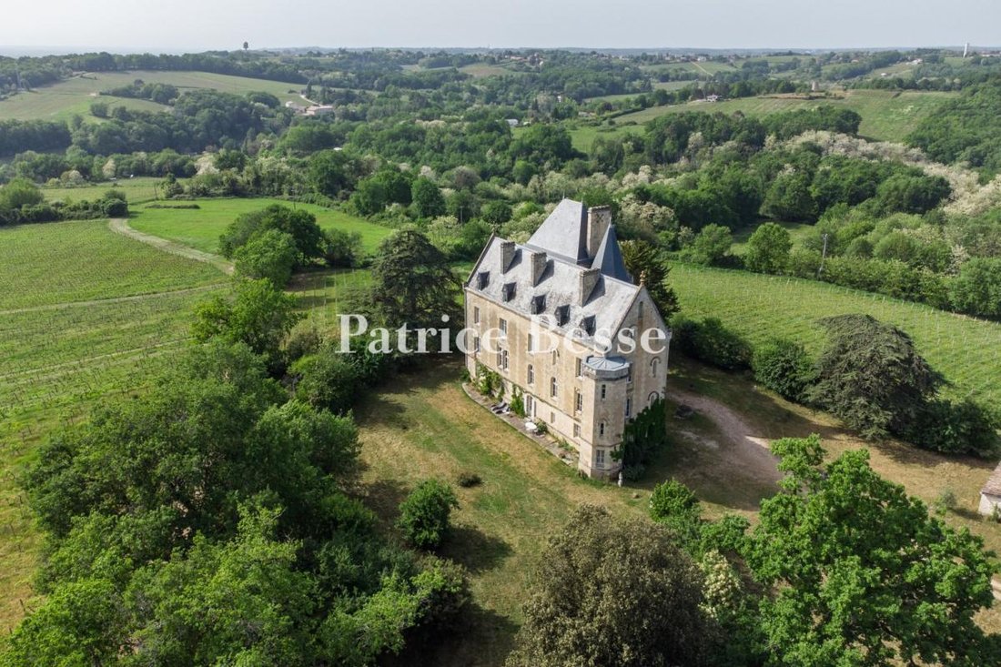 Castillo en Villenave-de-Rions, Nueva Aquitania, Francia 1 - 18242147