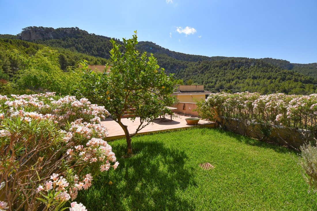 Wohnung in Andratx, Balearische Inseln, Spanien 1 - 18245687