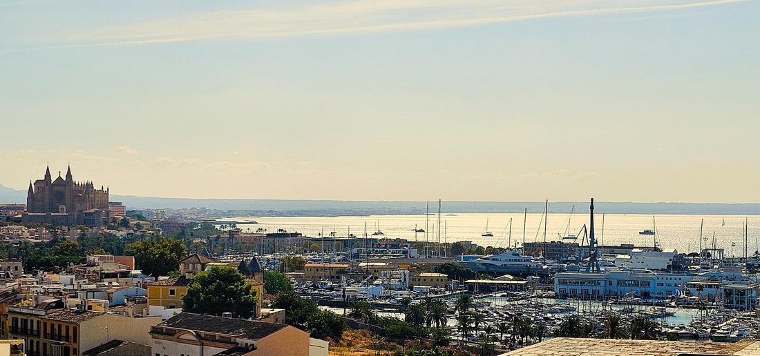 Apartment in Palma, Balearic Islands, Spain 1 - 18245555