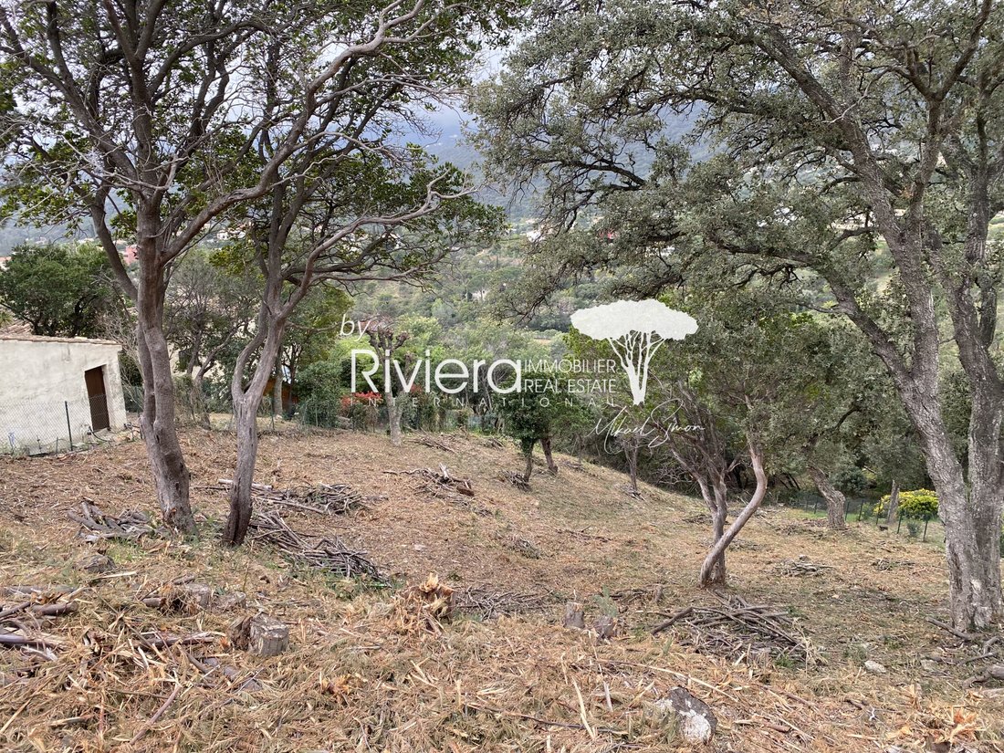 Land in La Croix-Valmer, Provence-Alpes-Côte d'Azur, France 4 - 15390226