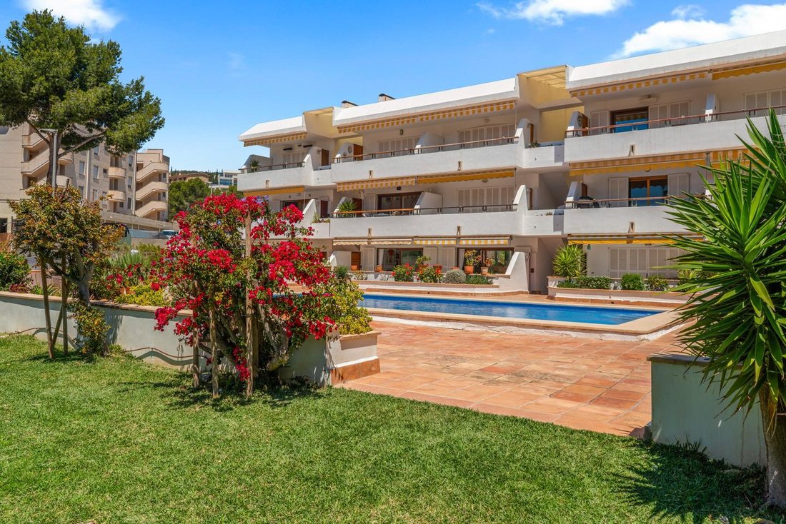 Apartment in Camp de Mar, Mallorca, Andratx, Balearic Islands 2 - 18245584