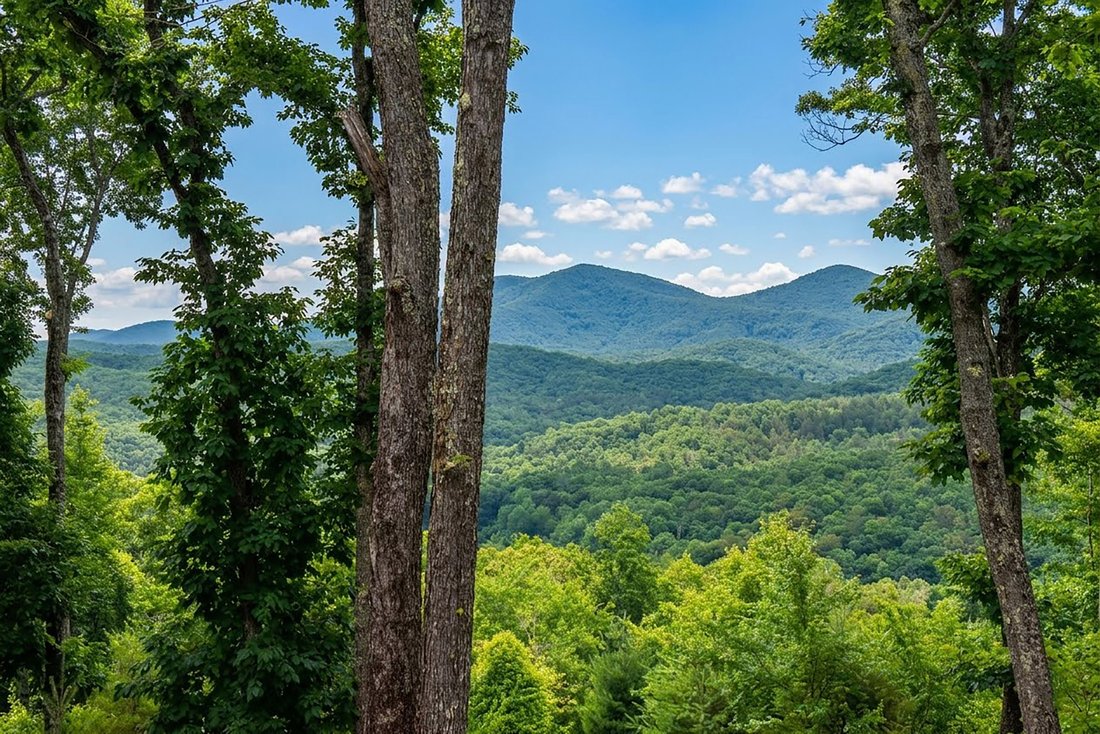 House in Blue Ridge, Georgia, United States 4 - 18240805