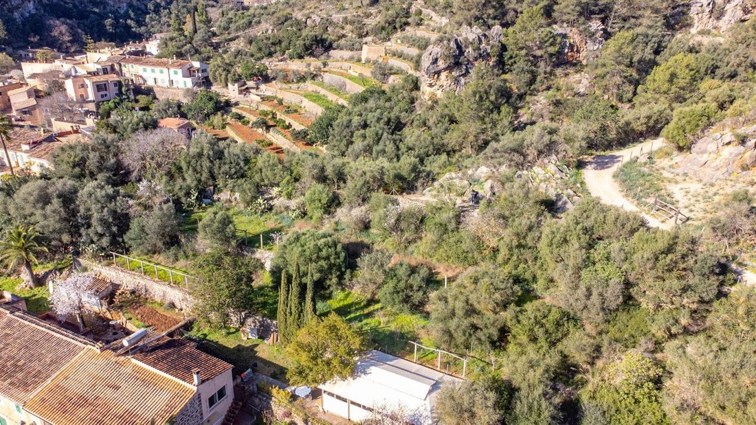 Land in Esporles, Balearic Islands, Spain 5 - 18241866