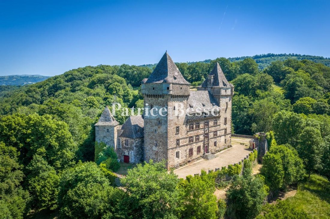 Castle in Vic-sur-Cere, Auvergne-Rhône-Alpes, France 2 - 18242127