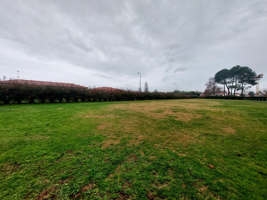 Land in Est, Soustons, Frankreich 4 - 18245985
