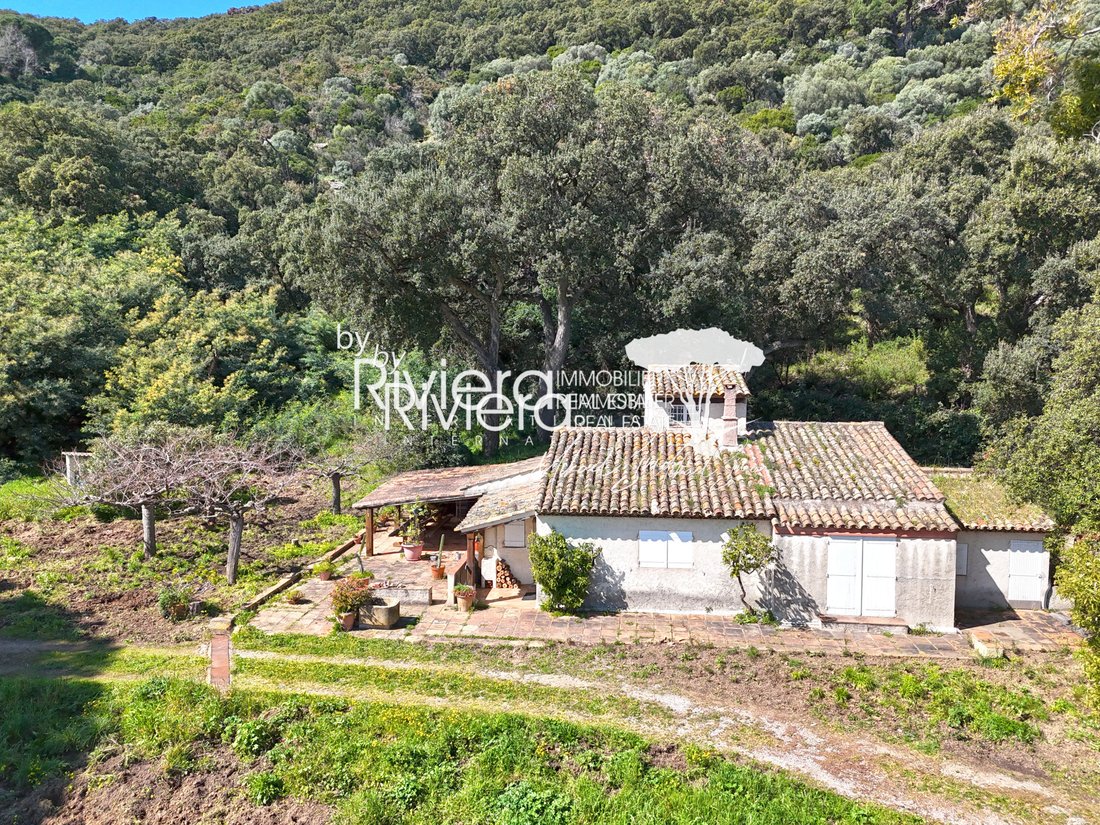 Villa in Nord, Cavalaire-sur-Mer, France 2 - 15404715