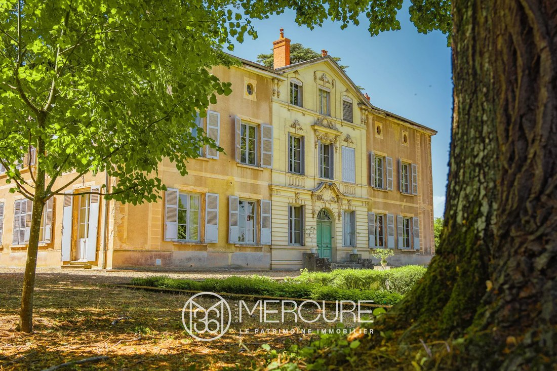 Castle in Frans, Auvergne-Rhône-Alpes, France 1 - 18238871