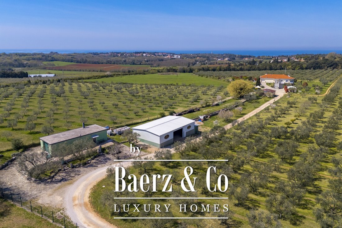 Country House in Savudrija, Istria County, Croatia 4 - 18244897