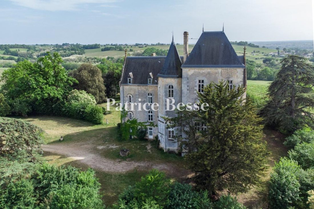 Castillo en Villenave-de-Rions, Nueva Aquitania, Francia 2 - 18242147
